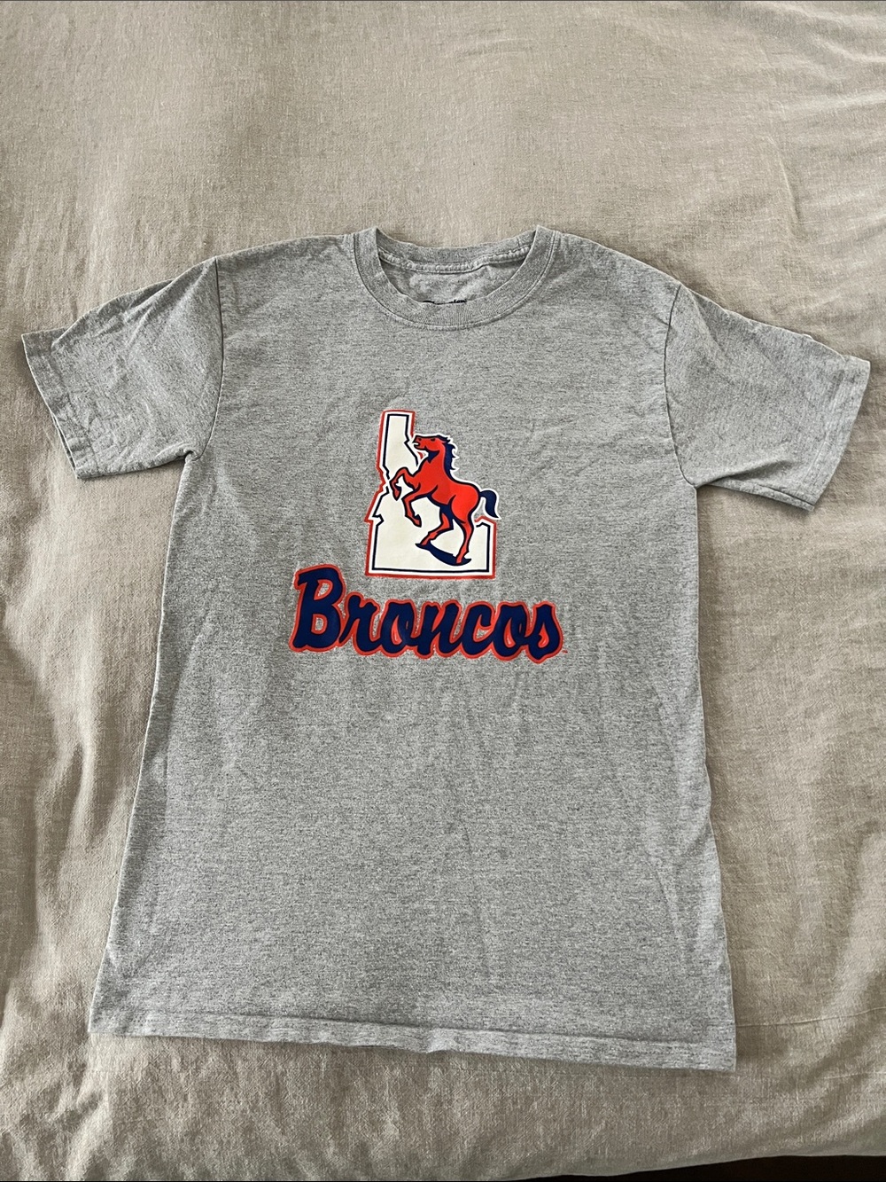 Gray Boise State Broncos Vintage Logo Graphic Tee